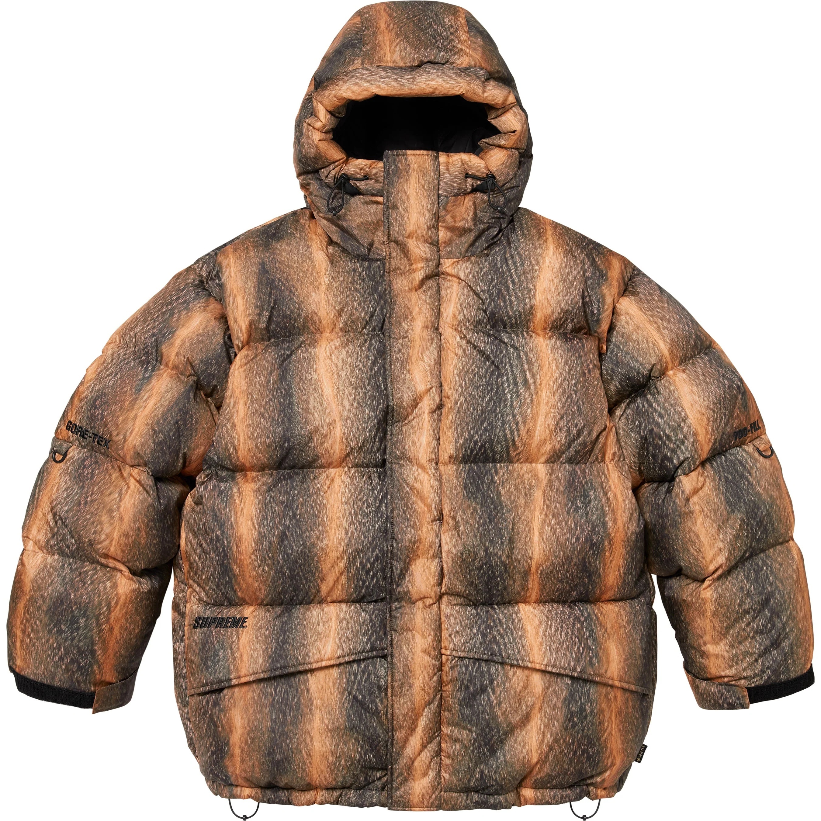 GORE-TEX 900-Fill Down Parka view 4